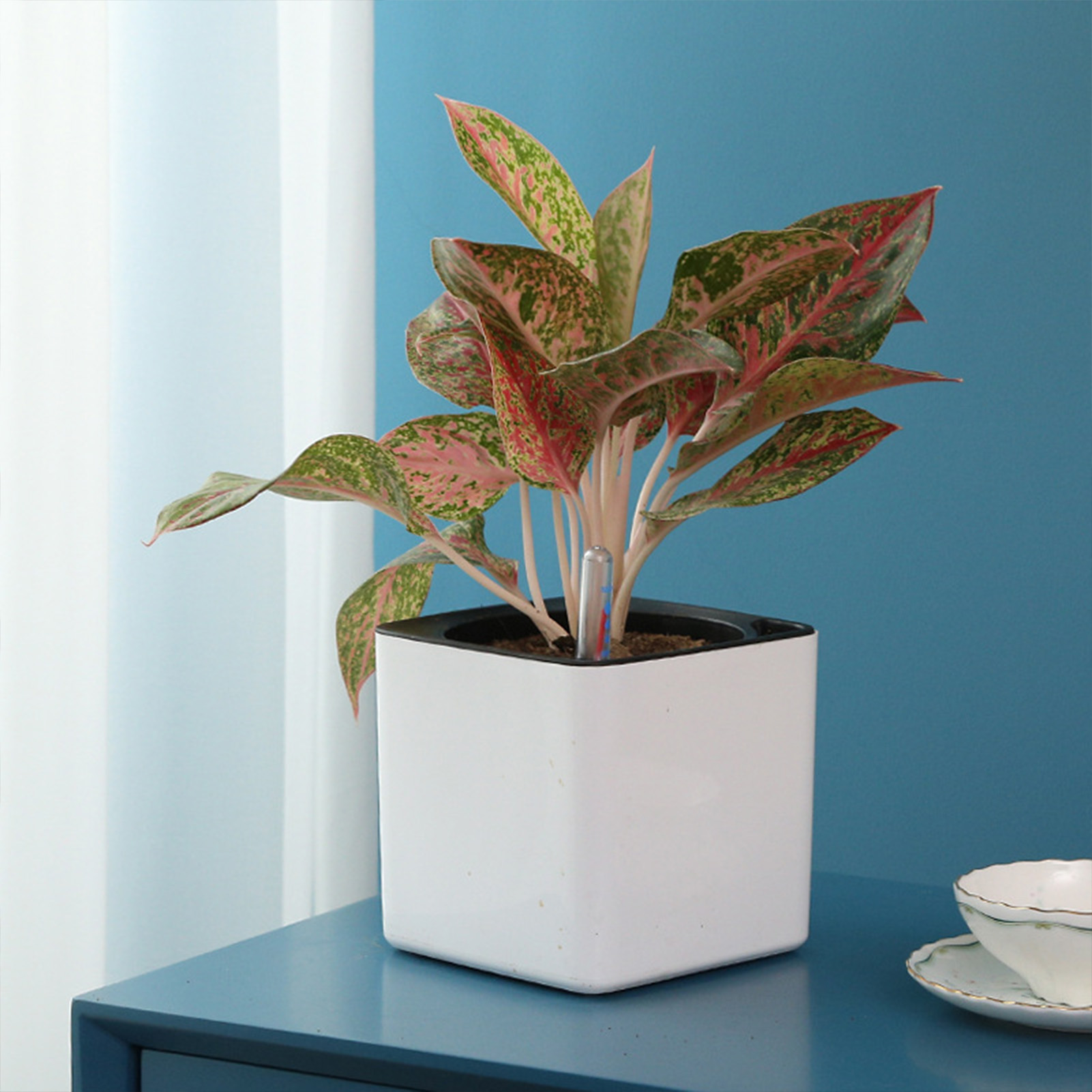3 size Lazy flowerpot Green Pl - Self Watering Insert review and price