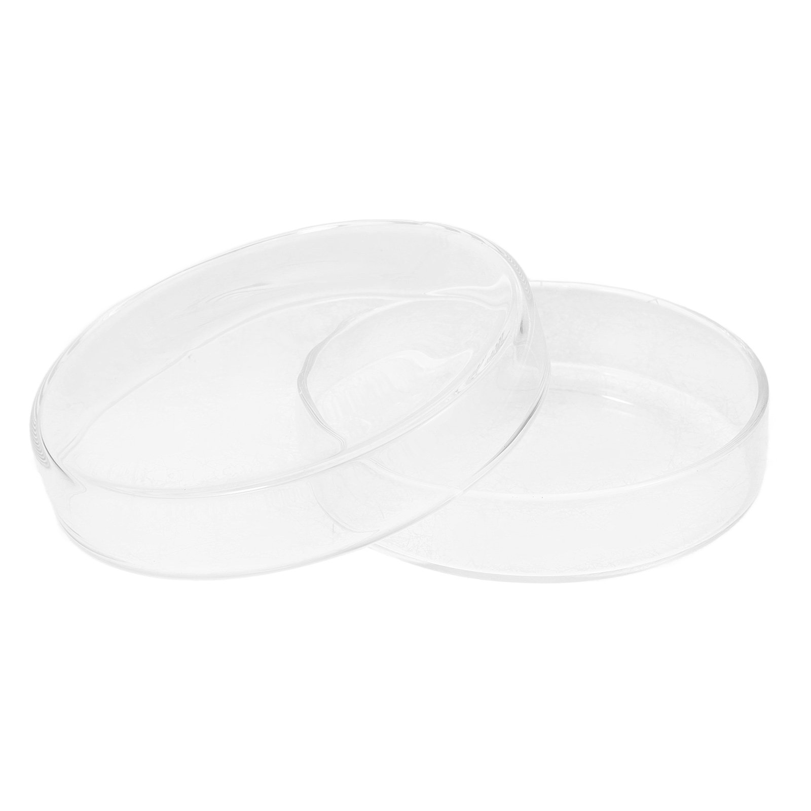 High Borosilicate Glass Petri  - Agar Tissue Culture review and price
